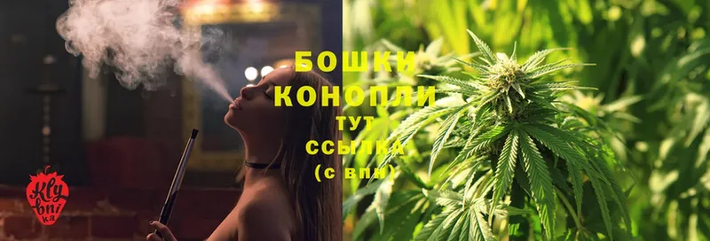 Каннабис SATIVA & INDICA  где продают наркотики  Биробиджан 